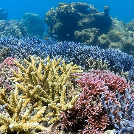 Alam Karang Hotel Gili Gede Екстериор снимка
